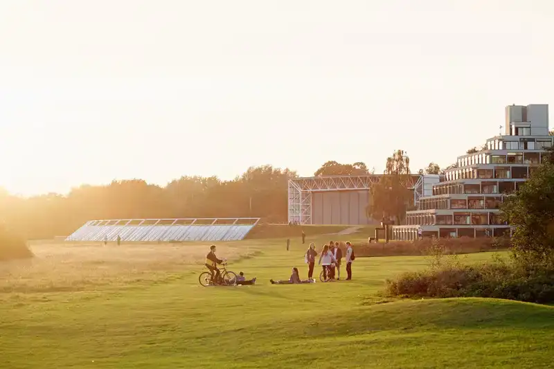 Students in UEA fields