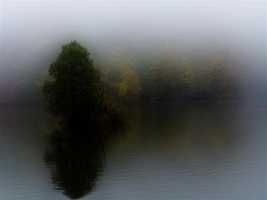Misty lake with trees on the shoreline.