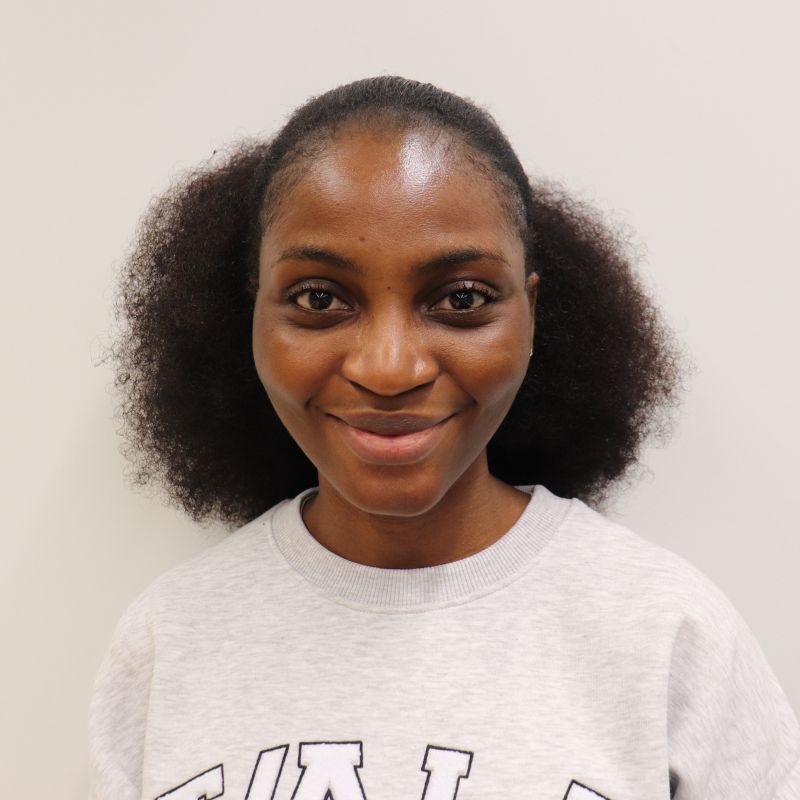 Nigeria Ambassador