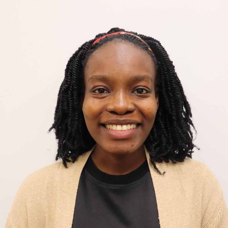 Nigeria Ambassador