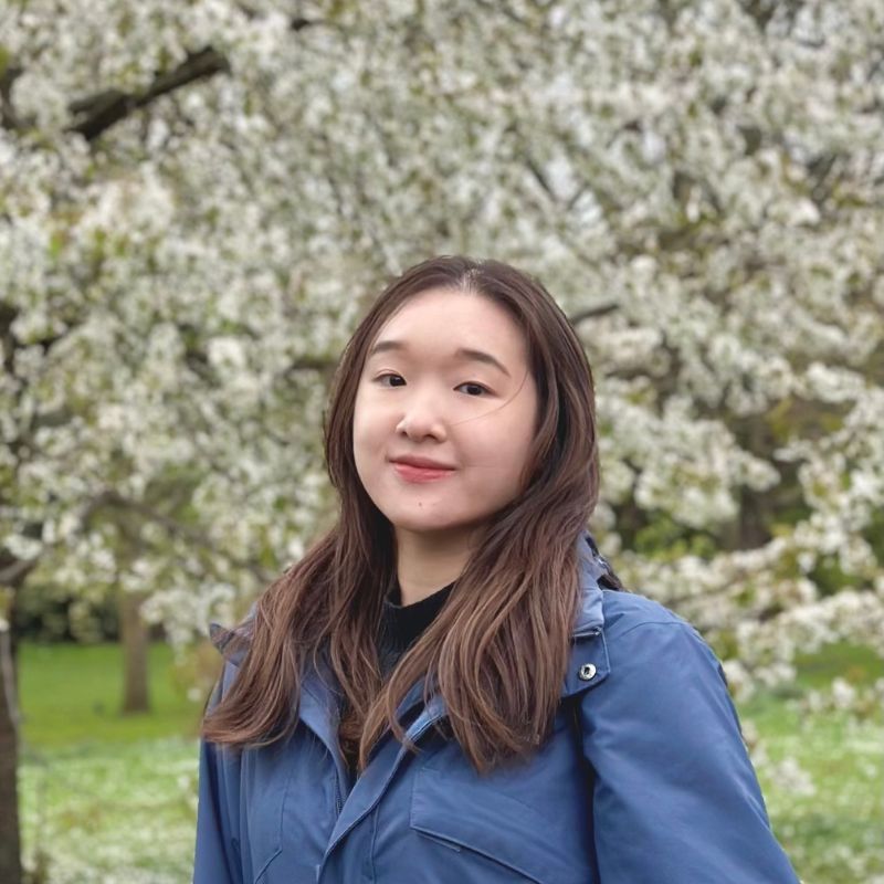 Hong Kong Ambassador