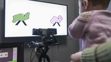 eye_tracking.jpg