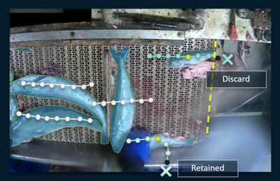 Using Technology to Help the Planet fish camera