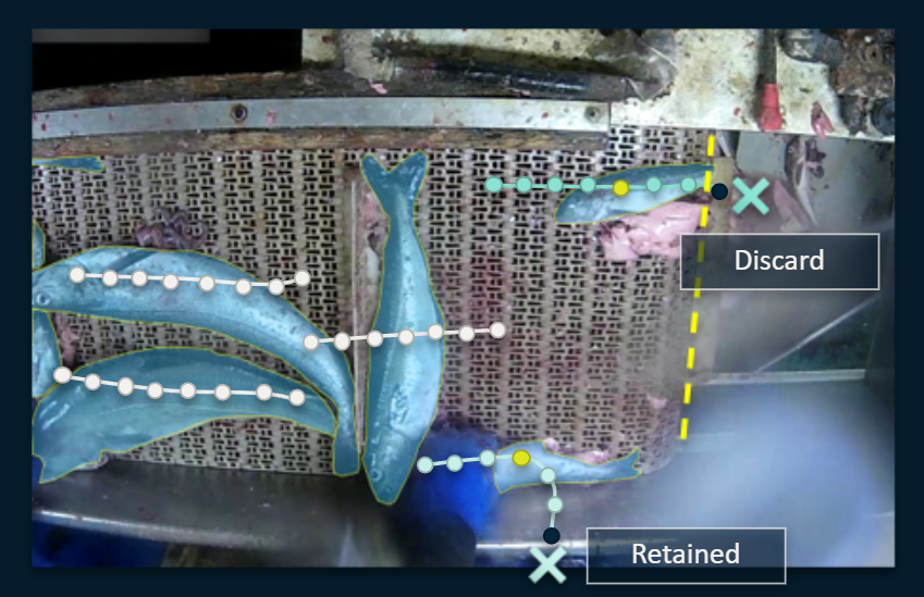 Using Technology to Help the Planet fish camera