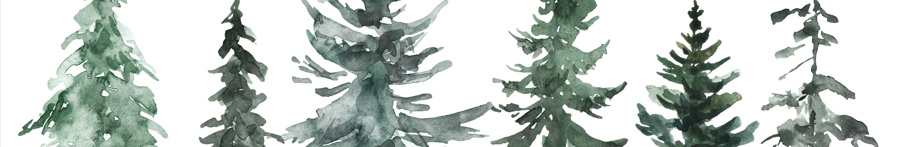PINE-banner