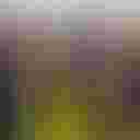 Loading image...