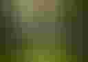 Loading image...