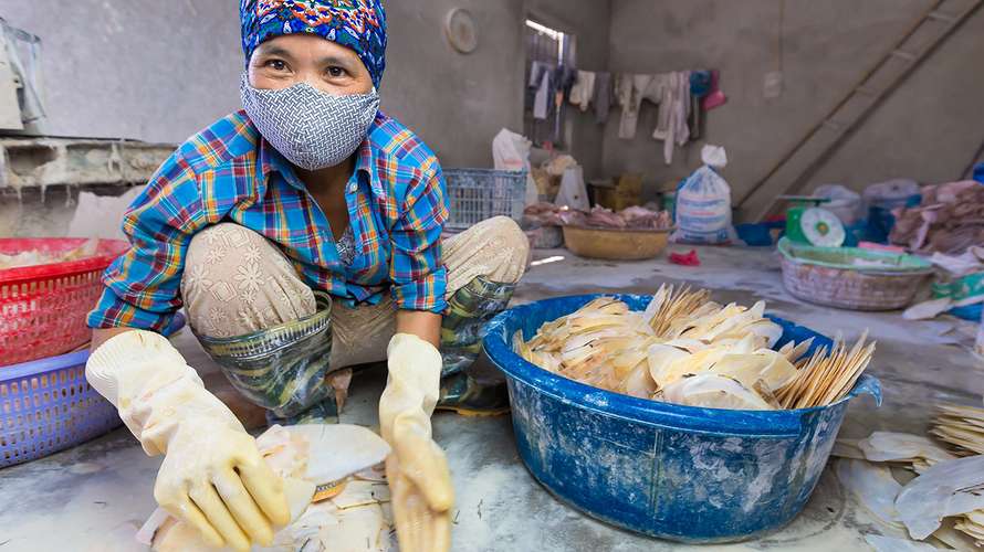 DEV_woman_and_shells_northern_vietnam.jpg